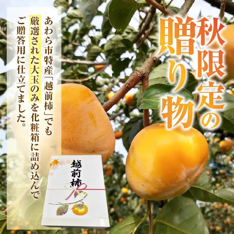 【先行予約】【2026年10月下旬～11月中旬に発送予定】秋の味覚を贈り物に！厳選「越前柿」大玉 9個（ご贈答用）／ 果物 フルーツ 産地直送 期間限定 ※2026年10月下旬～11月中旬に発送予定 