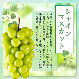 ぶどう 先行予約 シャインマスカット ＆ ナガノパープル ＆ クイーンニーナ 3種類 詰め合わせ セット お楽しみ 食べ比べ 葡萄 ブドウ 果物 フルーツ シャイン マスカット デザート 信州 202