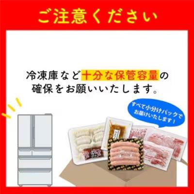 ふるさと納税 南九州市 【発送月固定定期便】どどーんと黒豚1頭(※総計55kg)全4回 |  | 03