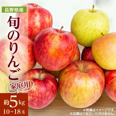 【ふるさと納税】【2025年発送】家庭用　長野県北信州のりんご　約5kg(10～18玉程度)おまかせ1品種【1575381】