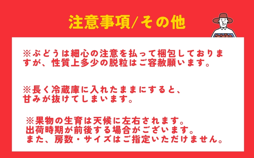 《先行予約》 巨峰 約3kg (5~9房) | ぶどう 新潟県 弥彦村 弥彦アグリセンター