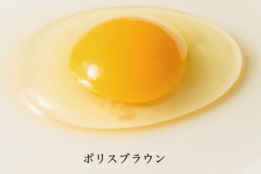上原養鶏場のはっこう卵 3種食べ比べMS~Lサイズ 55個+破卵保障5個