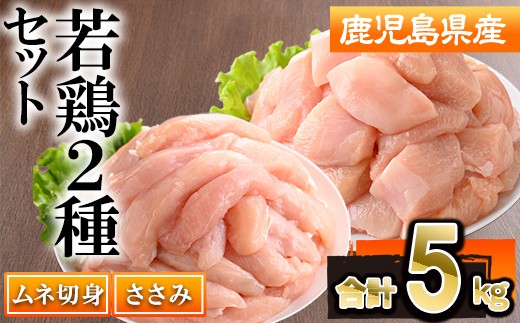 鹿児島県産若鶏ささみ・ムネセット(合計5kg・各250g×10P)若鶏 切身 冷凍【株式会社羽根】 A1101