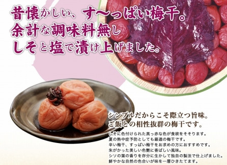 紀州南高梅 しそ漬梅 850g×1箱 ［Kn4］