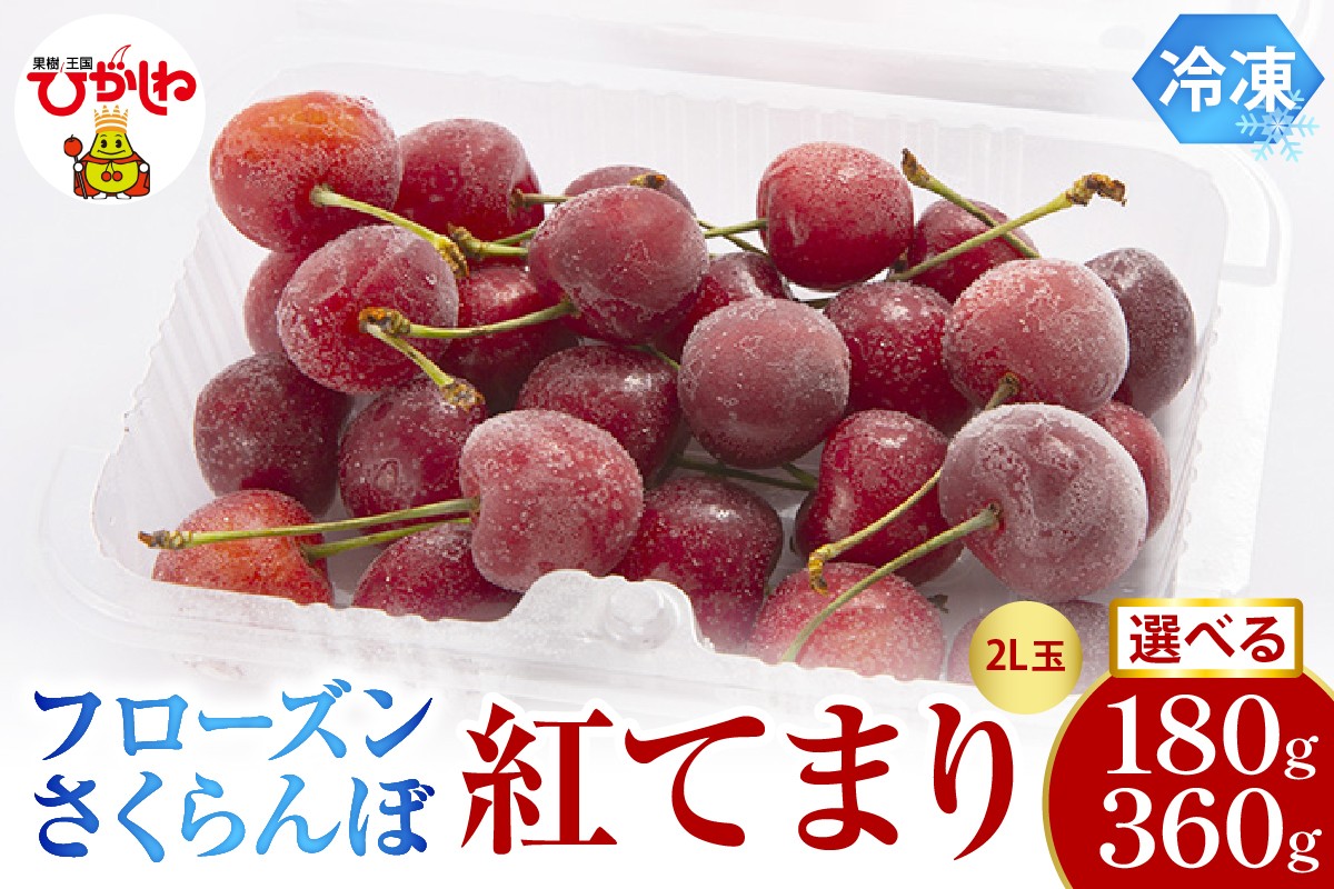 
                  ≪内容量が選べる≫　フローズンさくらんぼ「紅てまり」 2L玉 180g入【1パック・2パック】有限会社佐藤錦提供 山形県 東根市 hi029-038-o
                
