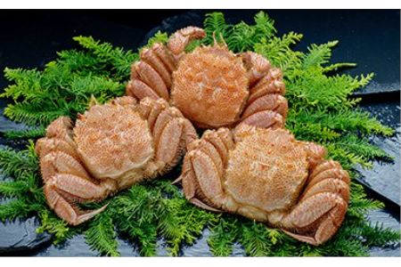 【浜茹で！】ボイル毛ガニ1.5kg 詰め（冷凍）3尾入り ふるさと納税 蟹 F4F-5466