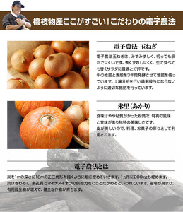 かぼちゃ(2玉)とたまねぎ(約5kg)のセット 橋枝物産　2026年9月中旬以降　順次発送