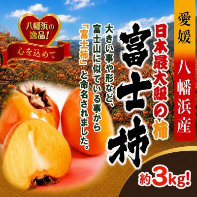 ふるさと納税 八幡浜市 甘さにニッコリ・なめらか食感!日本最大級の柿「富士柿」約3キロ【C39-72】