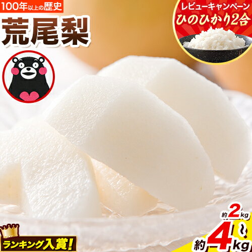熊本県荒尾市産 荒尾梨 約4kg