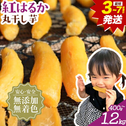 【ふるさと納税】★3-7営業日発送！干し芋 丸干し 熟成 紅はるか 選べる内容量 400g 800g 1.2kg 定期便 芋國屋《3-7営業日以内に出荷(土日祝除く)》千葉県 流山市 送料無料 小分け 無添加 着色料不使用 ほしいも 干しいも さつまいも 丸ぼし まるぼし 国産