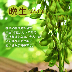 【令和8年産先行予約】朝採りだだちゃ豆 【晩生】1.5kg (500g×3袋) 枝豆　小池半左衛門