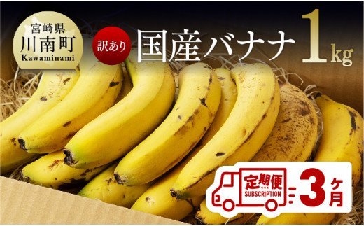 【訳あり】国産バナナ１ｋｇ　3ヶ月定期便 [F5803]