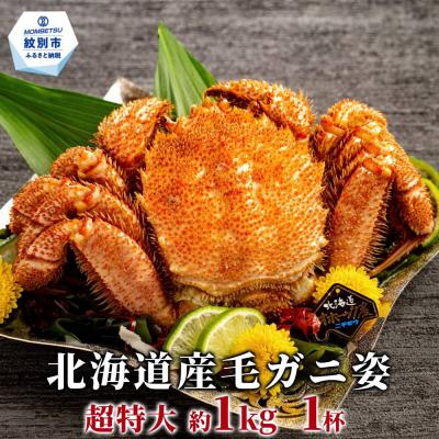 ふるさと納税 紋別市 【超特大】北海道産毛ガニ　約1kg×1杯
