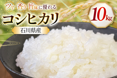 米 令和7年産 石川県産 コシヒカリ 10kg x 1袋 [農事組合法人かさの郷 石川県 津幡町 tb17bgj610004] 