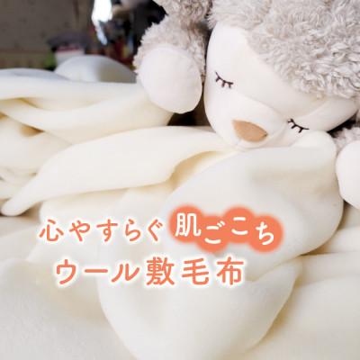 ふるさと納税 橋本市 【訳あり】メリノウール シングル ウール100% ボアシーツ ゴム付き 105×210cm |  | 01