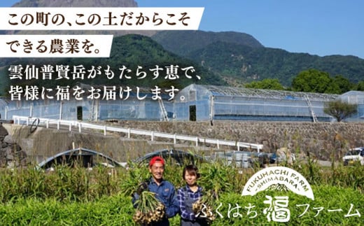 【2025年5月下旬〜順次発送】【南島原の特別栽培】ハウス桃【約1kg】化粧箱 / 桃 もも モモ ピーチ 1kg デザート 旬 フルーツ 柔らかい 果物 / 南島原市 / ふくはちファーム [SBS