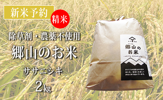 【新米予約】農薬不使用のササニシキ（精米）「郷山のお米」2kg
