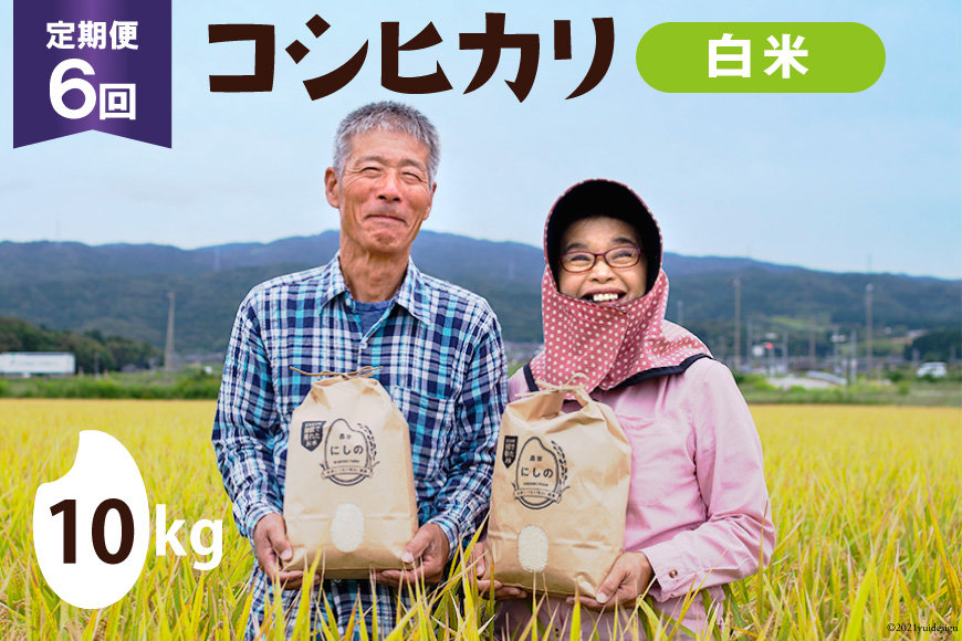 【期間限定発送】 米 定期便 コシヒカリ 白米 10kg 6回 総計 60kg [農家にしの 石川県 宝達志水町 38601174] こしひかり お米 おこめ こめ コメ 精米 ごはん ご飯 令和8年産 新米