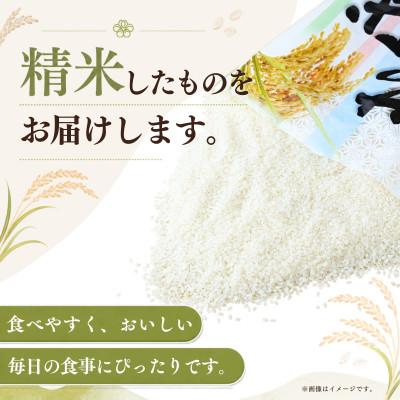 ふるさと納税 かすみがうら市 【毎月定期便】お米屋さんのコシヒカリ 精米 5kg(1袋)全12回 |  | 01