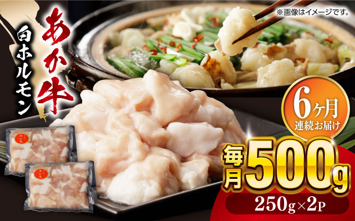
            【全6回定期便】熊本県産 あか牛 白ホルモン 合計3kg (250g×2P) 熊本 赤牛 褐牛 あかうし 褐毛和種 肥後 冷凍 国産 牛肉【五右衛門フーズ】[YBZ008]
          