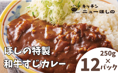 キッチン ニューほしの ほしの特製和牛すじカレー(1人前)250g×12パック　【11100-2197】