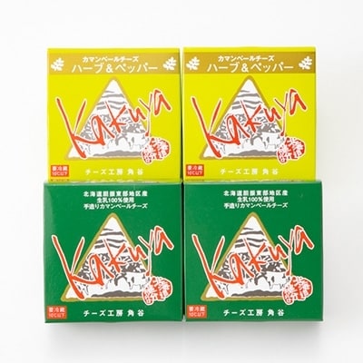 2022年10月発送開始『定期便』角谷 カマンベールチーズセット【125g×4個】全3回【配送不可地域：離島】