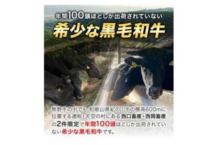 サーロインステーキ 黒毛和牛 牛 牛肉 ステーキ 約250g 約250g×1パック 