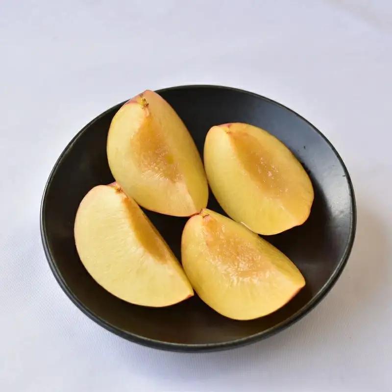 ＜先行予約＞すもも（大石）約500g×8パック ※2027年5月中旬～6月中旬頃に順次発送予定【期間限定・数量限定】【ymh023-1】