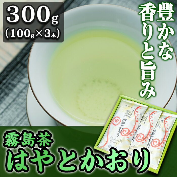 【ふるさと納税】霧島茶 はやとかおり詰合せ(100g×3本)国産 霧島産 お茶 茶葉 緑茶 銘茶 セット【マル竹園製茶】
