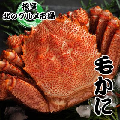 ふるさと納税 根室市 【年内配送可○】毛かに400g前後〜550g前後×1尾 B-76007