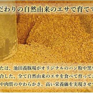 【6回定期便 総計6kg】 ありたぶた ロース とんかつ用 約1kg (1枚約100g×10パック) 6回 定期便 小分け 真空パック 豚肉 N60-3_イメージ4