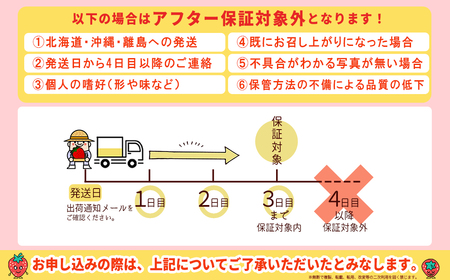 特別栽培 農家直送 あまおう 約270ｇ前後 × 2パック ふるさと納税 いちご イチゴ 苺 赤村 果物 くだもの フルーツ ジャム にも ケーキ にも 先行予約 数量限定 ふるさと ランキング 人気