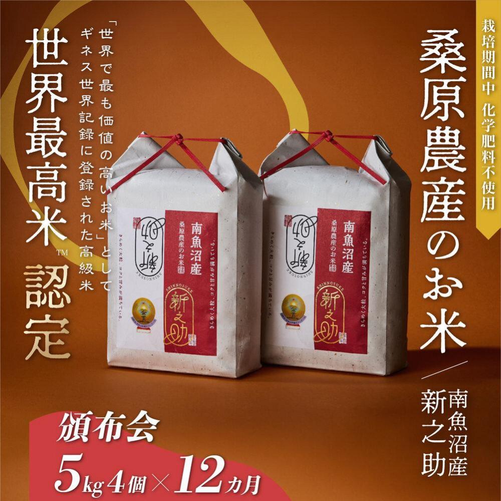 【R7年産】【頒布会】ギネス世界記録「世界最高米」認定 最高級南魚沼産新之助20kg(5kg×4)×12ヵ月 桑原農産のお米(精米)