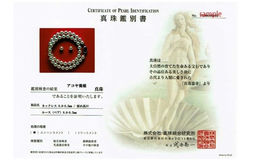 【大珠】 アコヤ真珠 8 ～ 8.5mm ネックレス ピアス セット Pt900 プラチナ 真珠 アクセサリー パール 母の日 入学式 卒業式 結婚式 冠婚葬祭 誕生石 フォーマル ジュエリー / 老