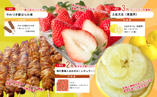 【年末限定】 12回 定期便 四万十 人気 グルメ お楽しみ定期便 しまんと ふるさと 20万円 今だけ 年末 限定 肉 いちご 文旦 うなぎ 牛肉 パン まぐろ マグロ かつお フルーツ 人気グルメ