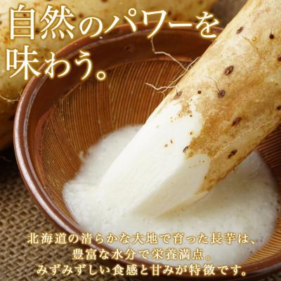 ふるさと納税 倶知安町 2026年発送 北海道倶知安町産 長芋 計5kg 秋堀り とろろ芋 グリーンアースファーム 北海道 |  | 01