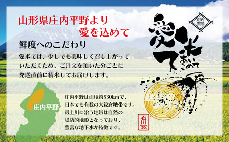 【令和7年産先行予約】【6ヶ月定期便】特別栽培米 つや姫　10kg（5Kg×2袋）× 6ヶ月　山形県鶴岡市産　愛米て