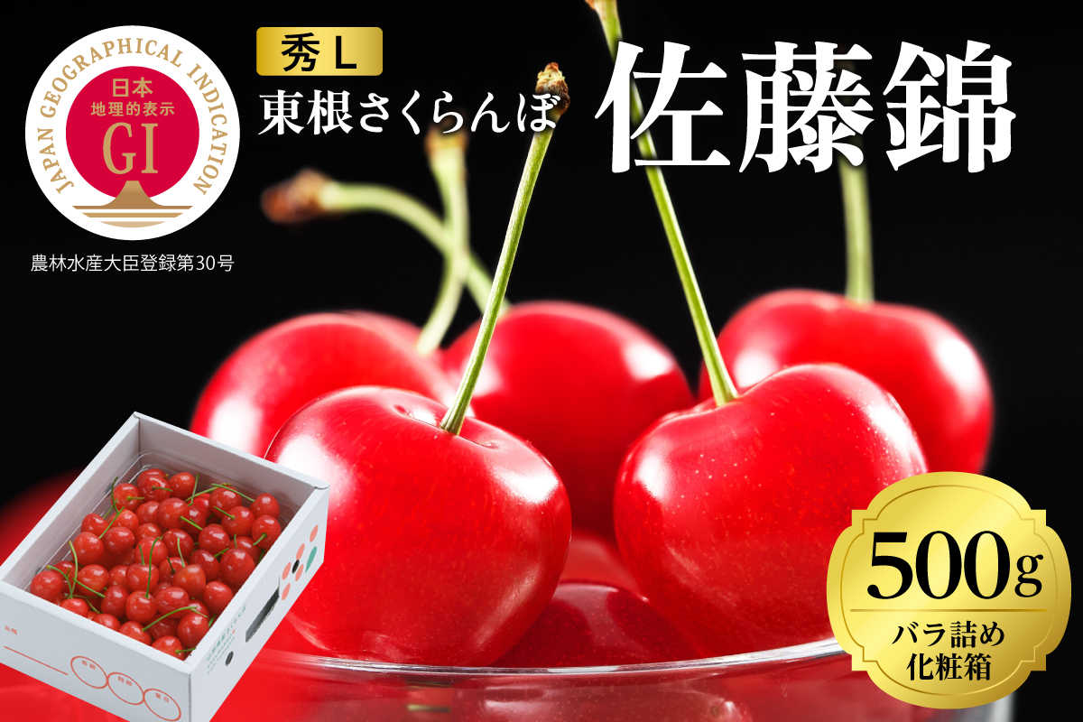 2026年 GI東根さくらんぼ「佐藤錦」500gバラ詰め 秀品 Lサイズ 東根農産センター提供 山形県 東根市 hi027-220