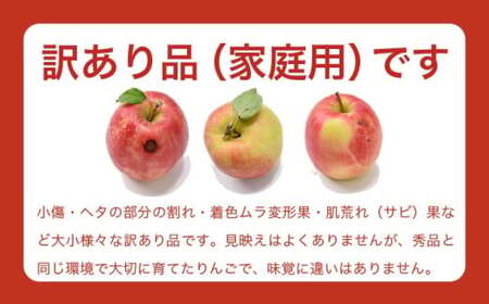 【訳あり】シナノドルチェ 約3kg 6～12玉 ［ おぶせファーマーズ ］ 数量限定 期間限定 果物類 林檎 りんご リンゴ 規格外 不揃い フルーツ 長野県産 信州産 令和8年産 【2026年9月中