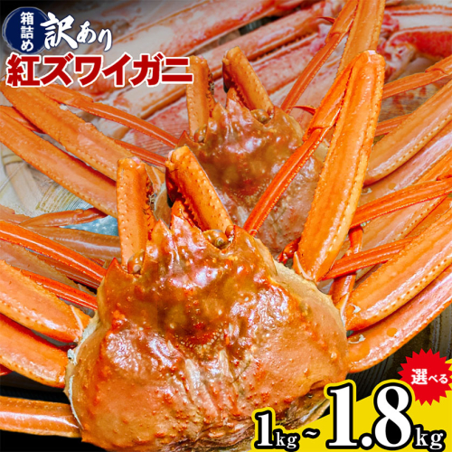 蟹 訳あり 蟹セレブ 紅ズワイガニ 箱詰め 選べる 1kg 1.8kggiverichホールディングス《10月上旬-5月下旬頃出荷》鳥取県 八頭町 蟹 かに カニ 紅ズワイガニ 紅ズワイ 訳あり 送料無料