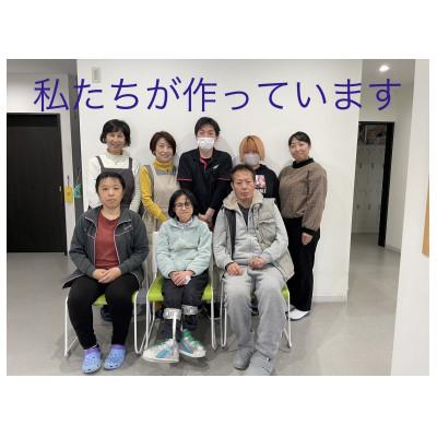 ふるさと納税 直方市 漆喰の花「ラコッタ」シャクヤク　水色W |  | 03