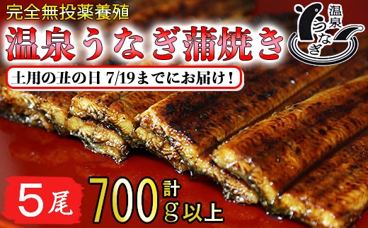 
            【 土用の丑 前日までにお届け 】 完全無投薬養殖 国産 温泉うなぎ蒲焼 5尾 （140gサイズ）＜104-062_5＞
          