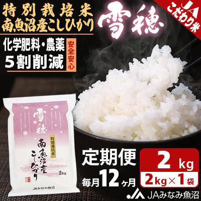 ふるさと納税 南魚沼市 【毎月定期便】特別栽培米南魚沼産こしひかり「雪穂」 精米 2kg 全12回