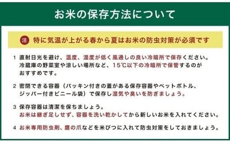 036-1253x3 ジオ蔵出し色選米 特別栽培米 10kg (5kg×2袋) 令和7年産 大分県 豊後大野市産 つや姫 米 精米