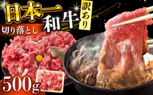 【訳あり】 長崎和牛焼肉切り落とし(肩ロース・バラ） 500g 【A4～A5】【株式会社 MEAT PLUS】 [DBS003]長崎和牛 和牛 国産 牛肉  長崎和牛 焼肉 切り落とし 肩ロース バラ 500g 訳アリ 訳あり 1万円 以上