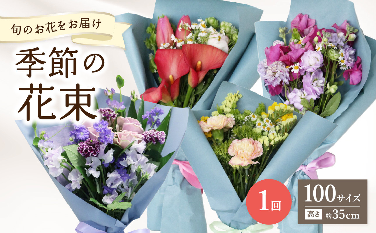 
            季節の花束 旬のお花をお届けします ≪1回お届け≫ 生花 花 贈答 ギフト プレゼント お祝い 送別 誕生日 記念日 花ギフト R07013
          