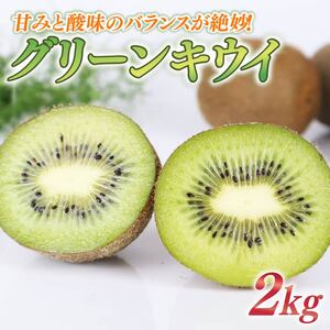 キウイ 2kg グリーン キウイ