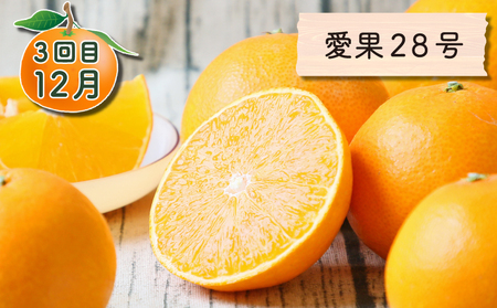 旬の 柑橘定期便 全4回 家庭用 極早生みかん 吉田みかん 愛果28号 ポンカン フレッシュつちやま 温州みかん 温州 果物 フルーツ 柑橘 みかん プレゼント ギフト 産地直送 数量限定 国産 愛媛