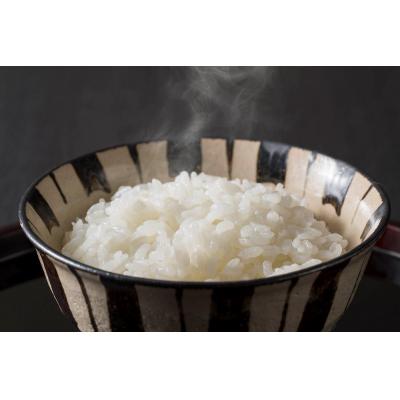 ふるさと納税 苫前町 【定期便】【令和7年産・新米】北海道とままえ産ゆめぴりか　5kg×6ヵ月連続お届け |  | 01