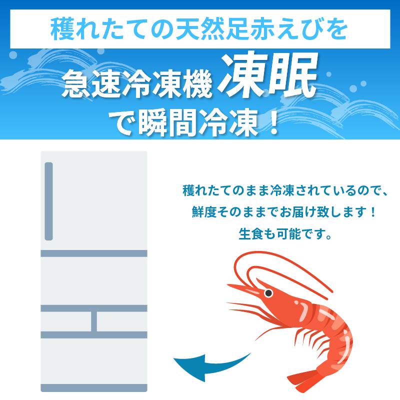 えび 足赤海老 500g 海老 天然 えび あしあかえび 冷凍 鮮度そのまま 海老 刺身 甘い エビフライ 塩焼き 殻付き プリプリ ebi エビ 天然えび 徳島